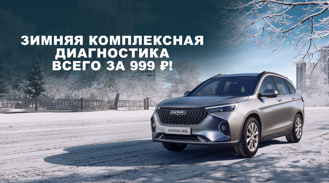 Зимняя диагностика всего за 999₽ !